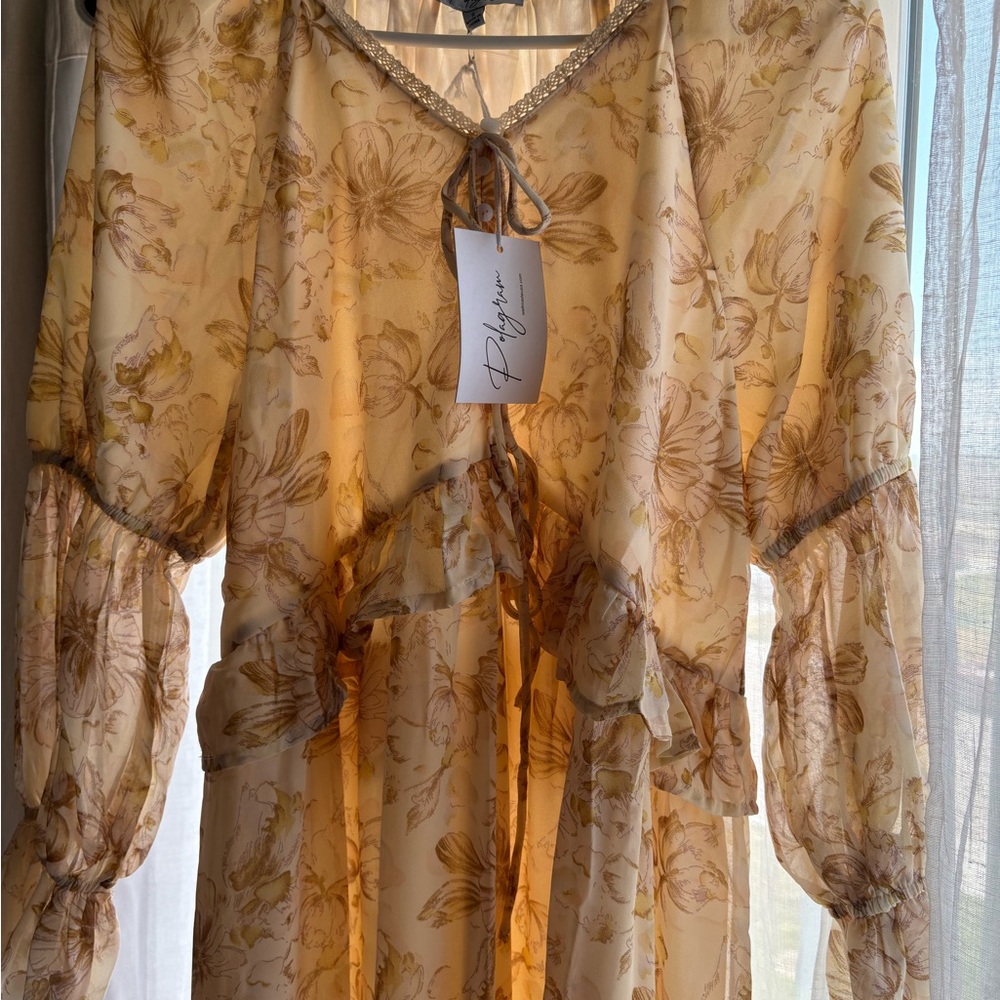 Polagram Brown Tiered Gown with Bishop Sleeves and Peter Pan Collar